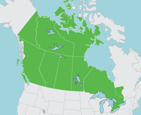 Extreme Eastern Ontario, Quebec, Newfoundland and Labrador, Price Edward Island, Nova Scotia, Eastern Nunavut