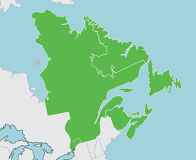 Extreme Eastern Ontario, Quebec, Newfoundland and Labrador, Price Edward Island, Nova Scotia, Eastern Nunavut